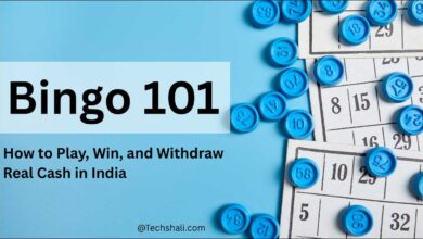 Bingo 101 App: How to Win Real Cash Rewards Today