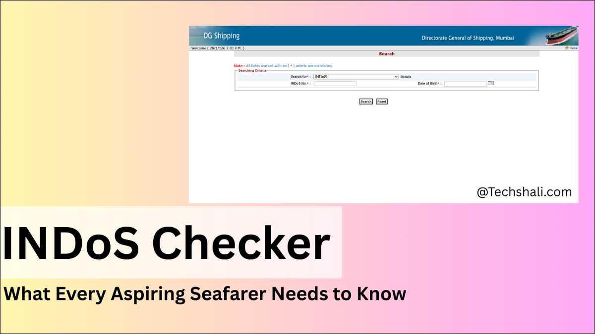 INDoS Checker: What Every Aspiring Seafarer Needs to Know