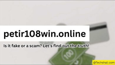 Petir108win.online Review 2026: Is It Fake or Scam? Full Safety Check